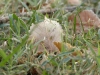 dscn8102 dscn8102