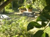 dscn8526 dscn8526