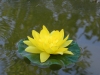 dscn8563 dscn8563
