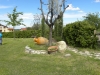 dscn9660 dscn9660